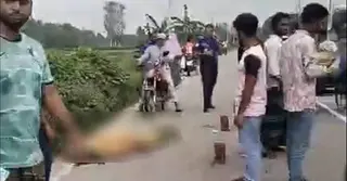 টাঙ্গাইলে সড়ক দুর্ঘটনায় নিহত মা, আহত বাবা ও ছেলে